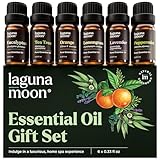 Essential Oils Set - Top 6 Blends for Diffusers, Home Care, Candle Making Scents, Fragrance, Aromatherapy, Humidifiers, Gifts - Peppermint, Tea Tree, Lavender, Eucalyptus, Lemongrass, Orange (10mL)